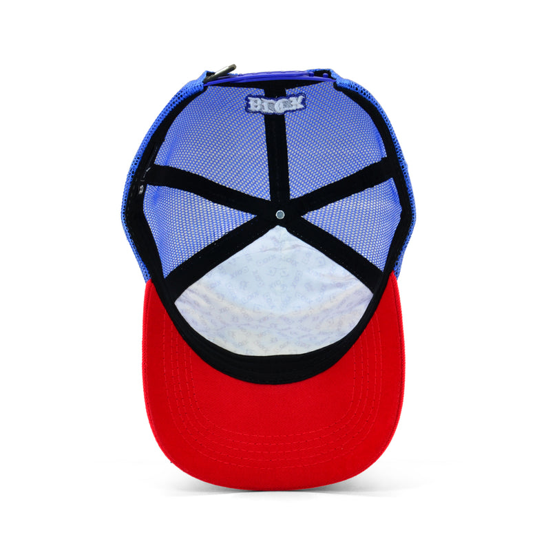 Boné Trucker Azul Charlie Brown Jr